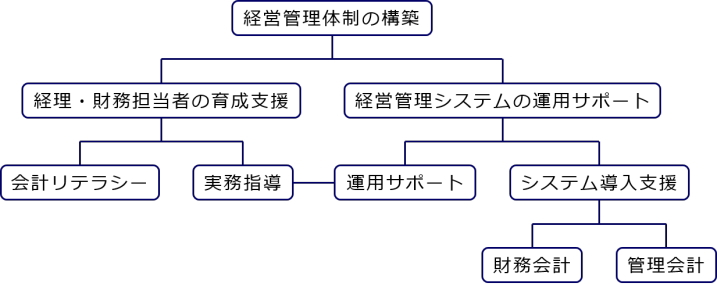 自計化支援 経営管理体制の構築体系図